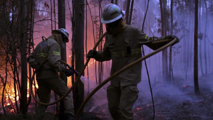 2 firemen in a burning forest