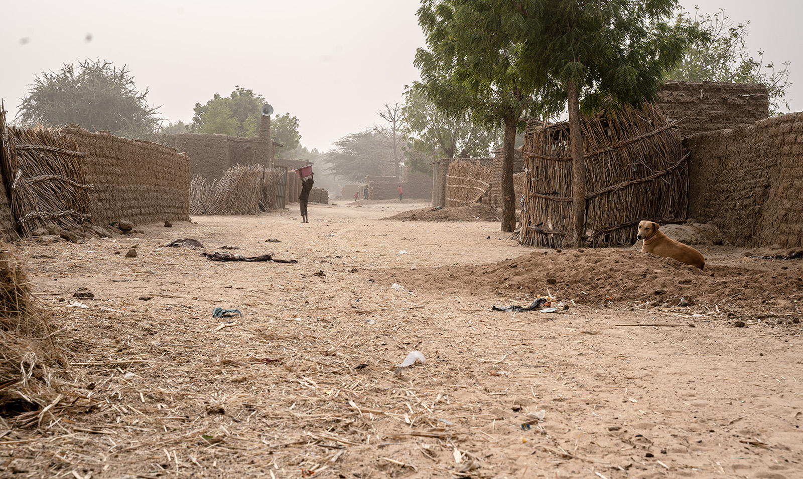 A street in the village of Dogon Marké, in the health district of Mirriah in Niger.
