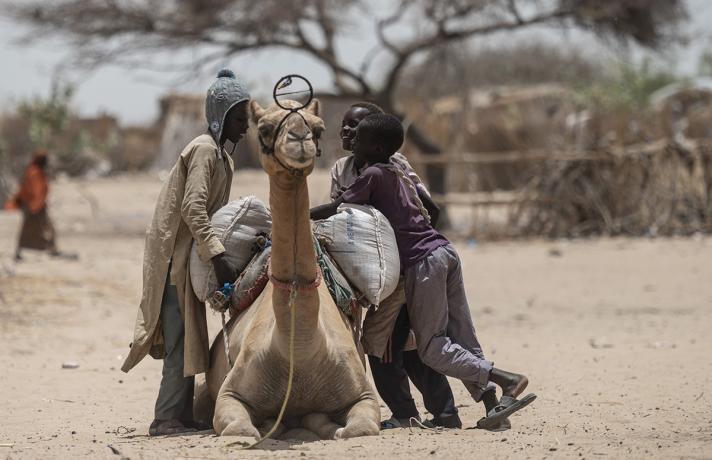 A camel lying on the ground while children mount sacks with food on it