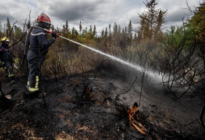 A firefigher holding a hose, pouring water on a burning part of the forest.