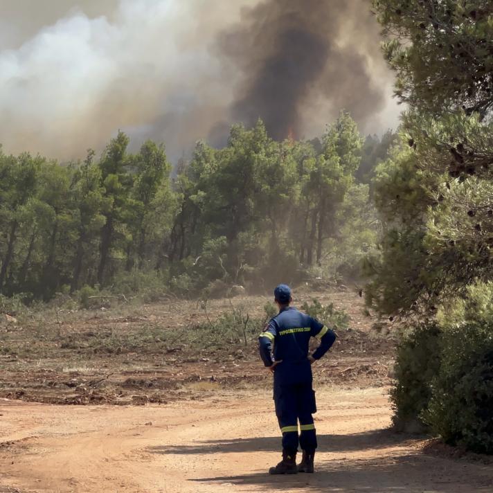 Person looking at a huge smoke cloud at the border of a forest.