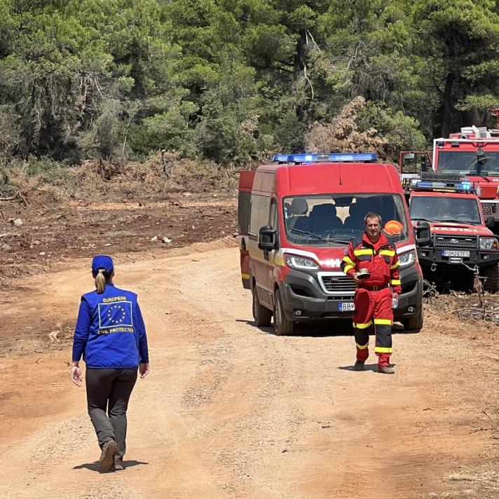 Firefighters and firefighter trucks at the border of a forest.