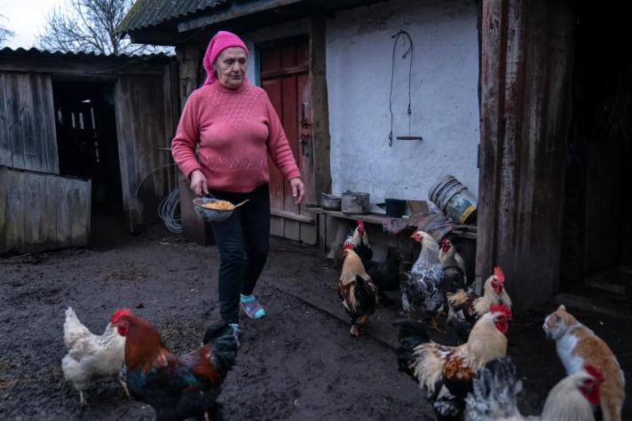 Liudmyla  feeding chickens holding a scoop. At the side sits a cat.