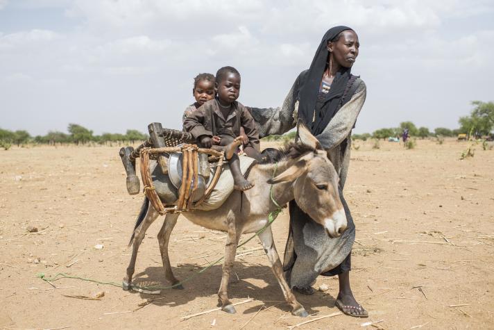 Ashta walking with a donkey carrying 2 children.