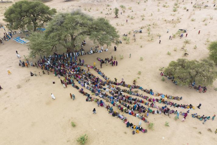 Aerial view of people standing in lines, some trees at the left.