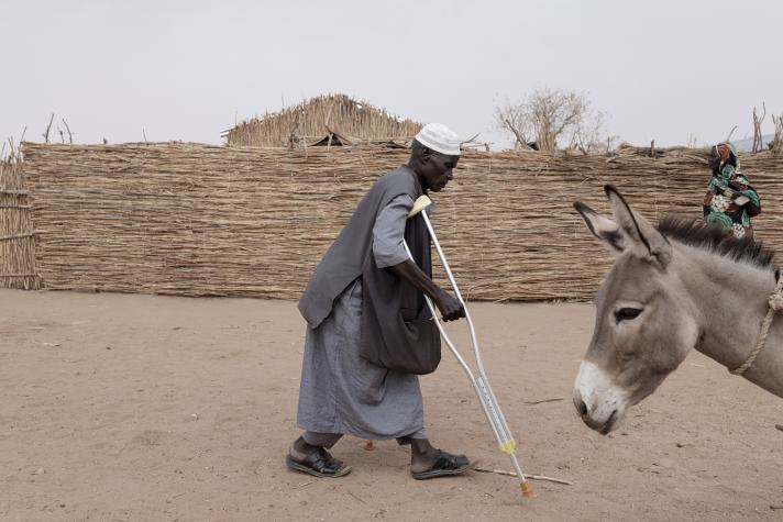 Ahmed walking with crutches, at the right side a head of a donkey.