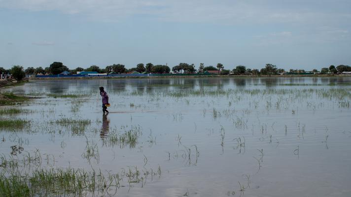 Flooded fields in Leer County, Unity State, South Sudan. 