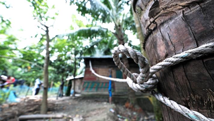 Detailed view of a rope fixed around a tree.