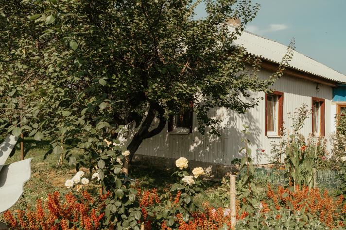 View of the restored house. In front a tree.