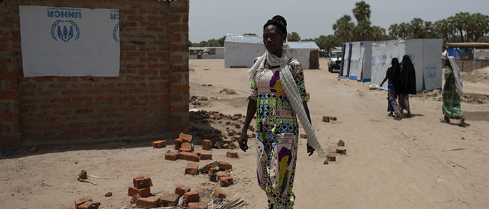 Eu Pledges €1025 Million In Humanitarian Funding For Africas Lake Chad Region European 6873