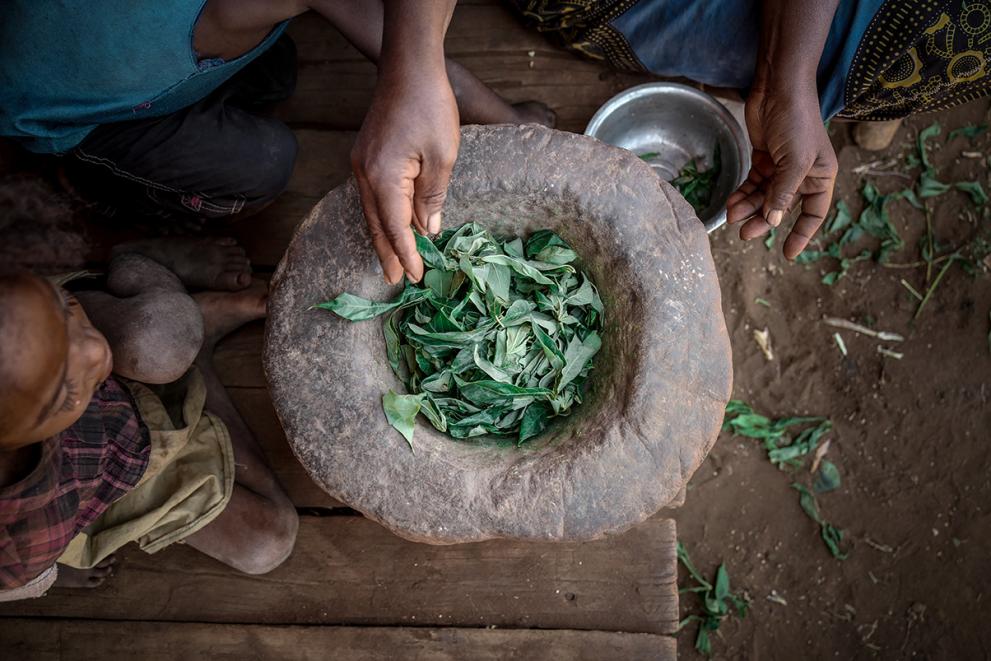 The 5 members of the household now have only cassava leaves as food. With many families turning to this last resort food source, the leaves themselves are disappearing.
