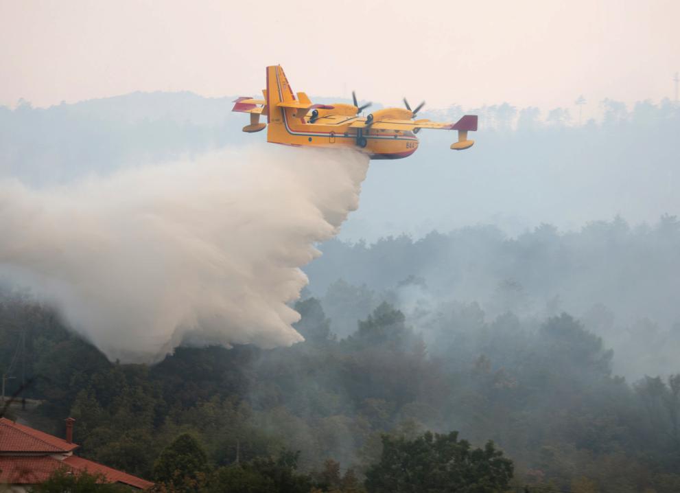 A firefighting plane dropping water over a forest