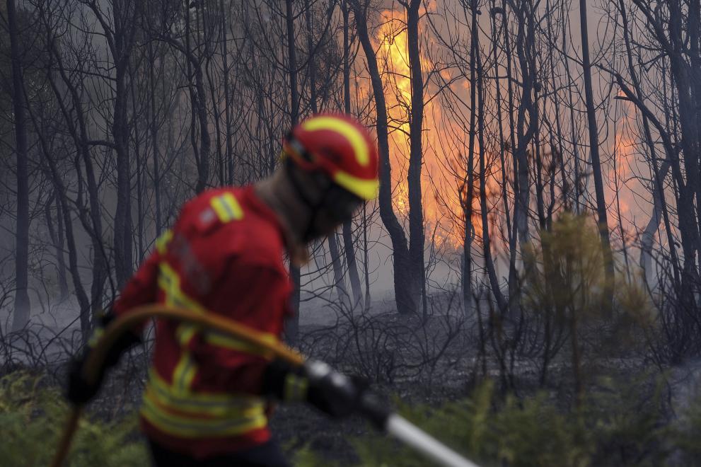 Firefighter using a hose in a burning forest