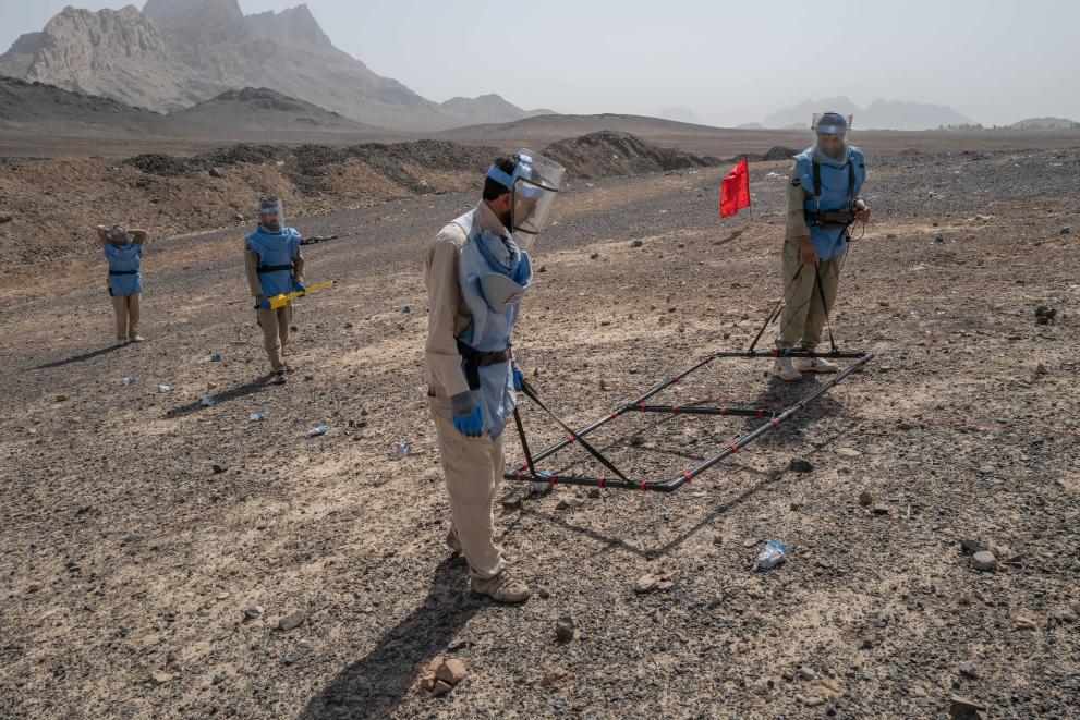 A team of 4 people in a field, holding a mine detector.