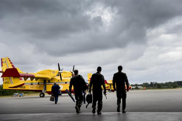 4 people seen from the back, walking towards firefighting planes.