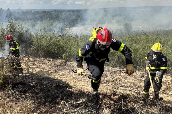 Firefighters on the ground in a burning forest.