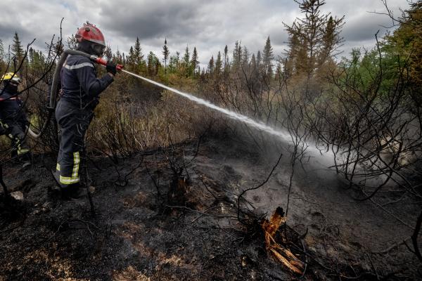 A firefigher holding a hose, pouring water on a burning part of the forest.