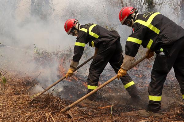 Bolivia: EU mobilises 40 firefighters to support response to wildfires